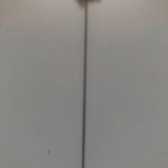 Pin - Picture 2 of 2